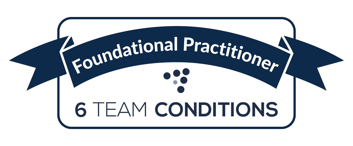 6 Team Conditions diagnostic survey certification for team effectiveness