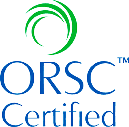 ORSC Organisation and Relationship Systems Coaching certification