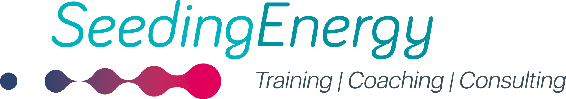 SeedingEnergy — Training | Coaching | Consulting